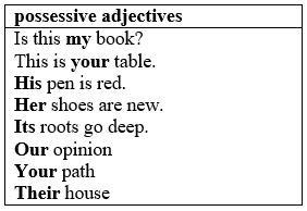 possessive adjectives